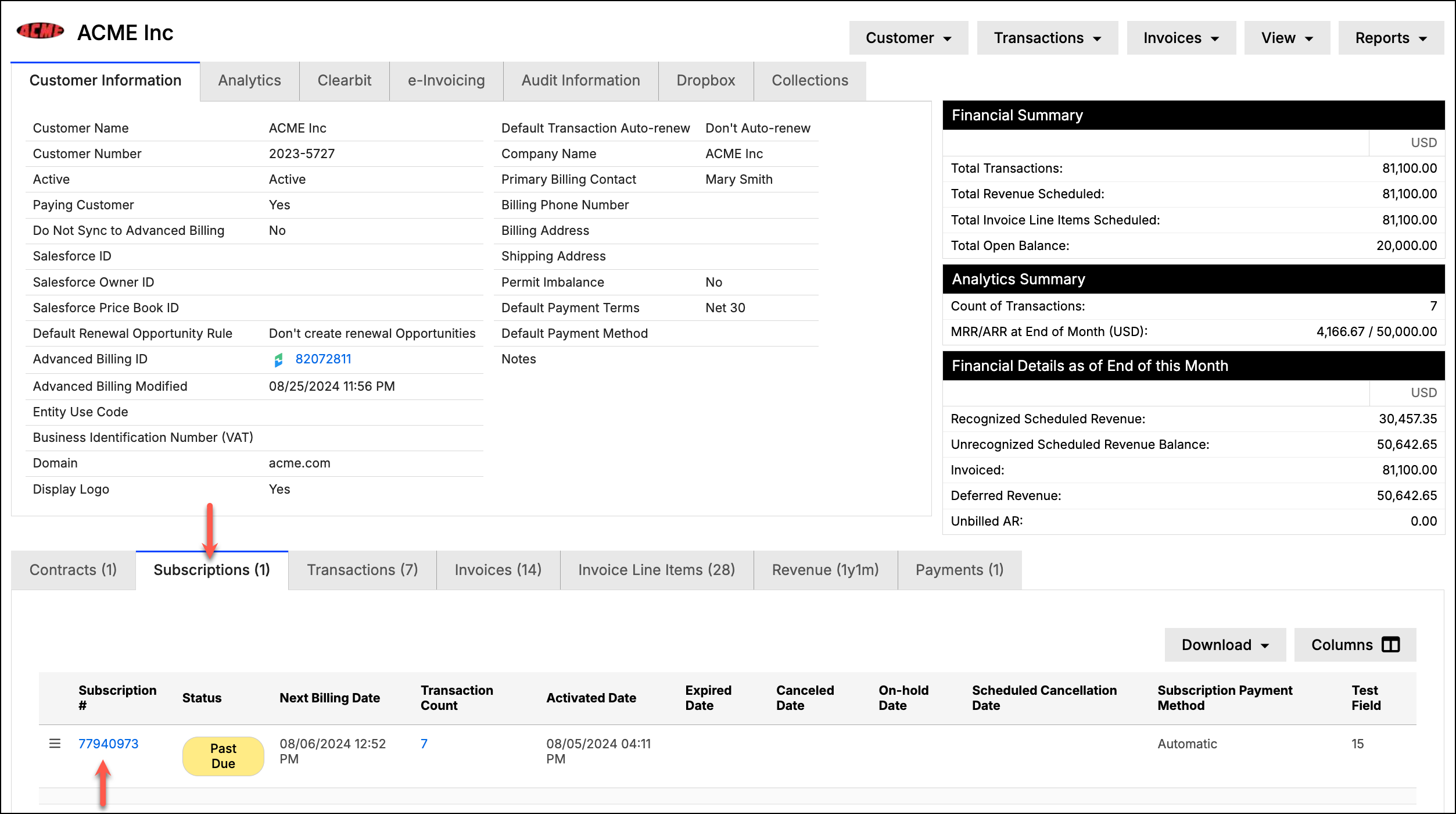 a customer page with tabs for customer information, analytics, e-invoicing, audit information and collections