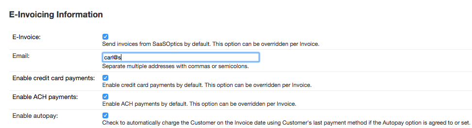 an E-Invoicing Information form of five settings, each with its own explanatory line
