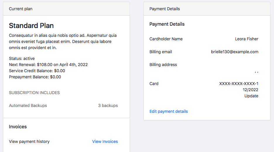 a self-built portal's plan panel showing the current plan, its included add-ons, payment details and invoice history