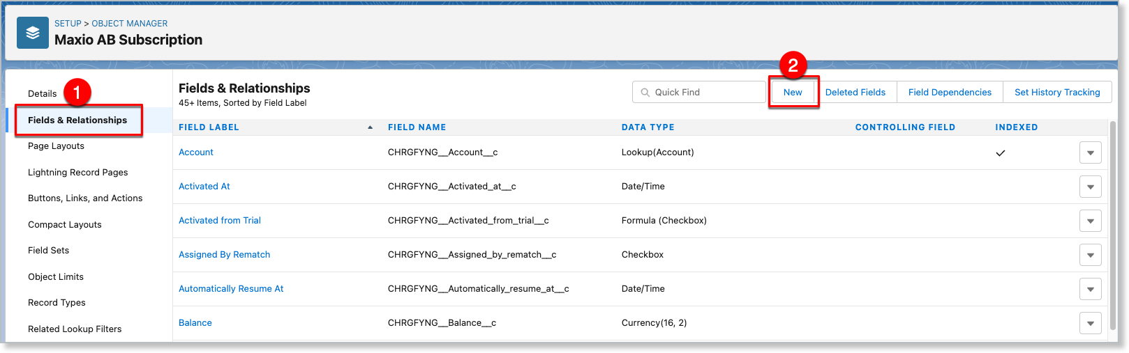 the Fields and Relationships list on the Maxio AB Subscription object, with New outlined
