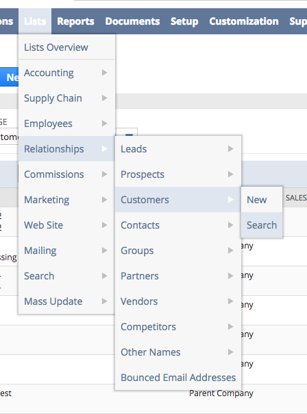 netsuite-customer-search.png